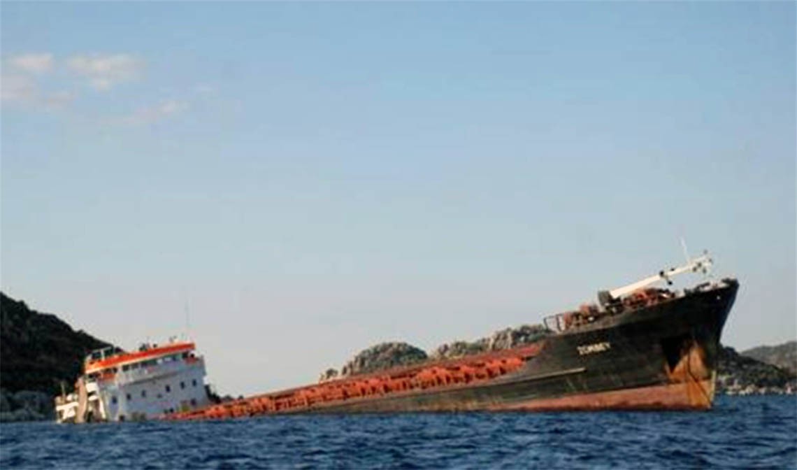 CLEANING OF THE POLLUTION CAUSED BY THE SHIP NAMED ZORBEY