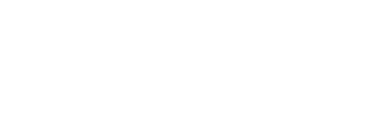 Aras Marine Yatırım Holding